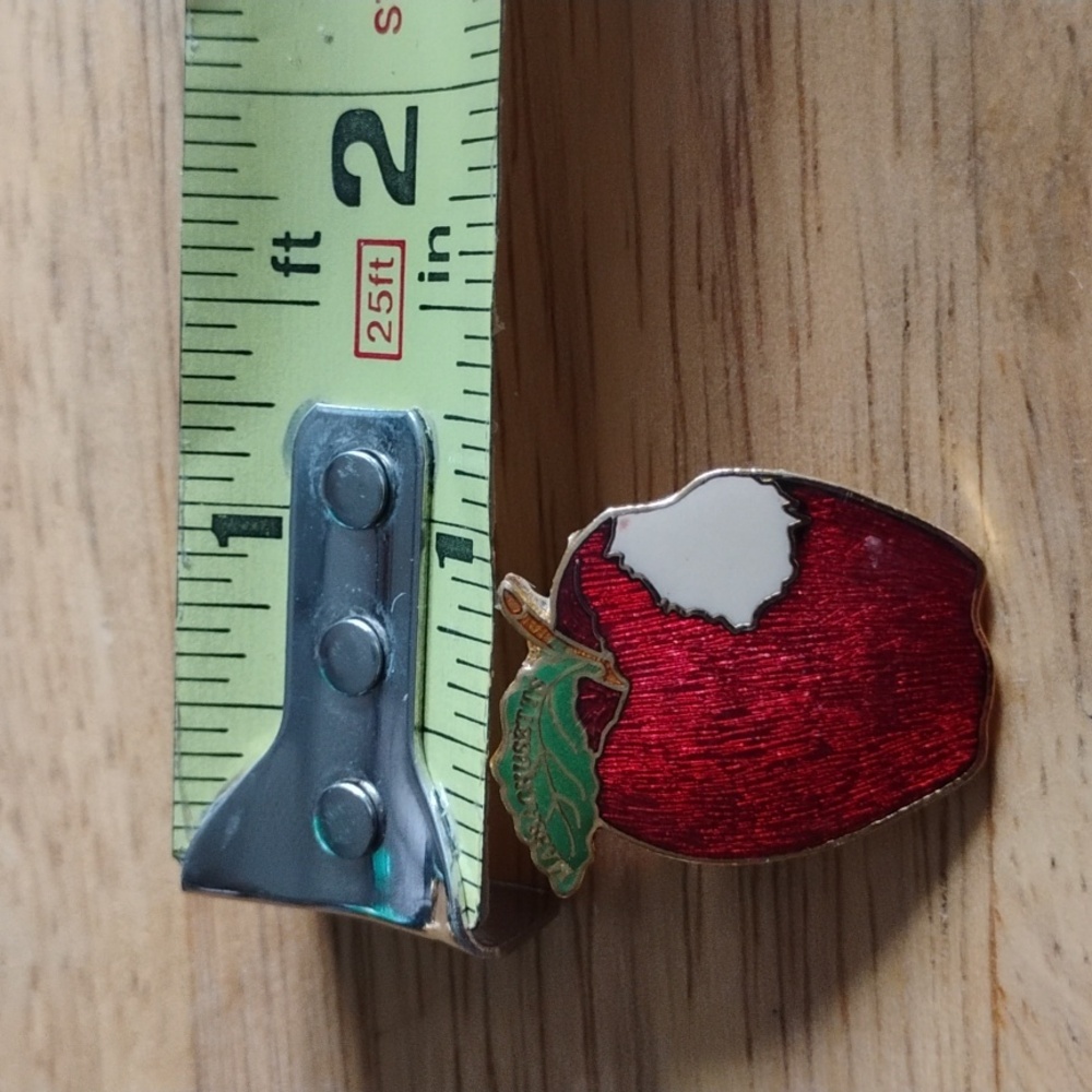Apple Pin 3/$20 - Picture 3 of 3